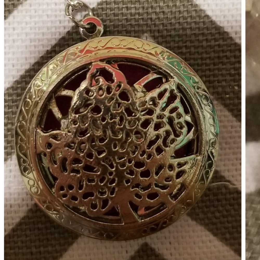 Diffuser Pendant Necklace With Your Choice Of Silver Necklace & 1 Essential Oil